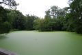 DSC_1548.jpg